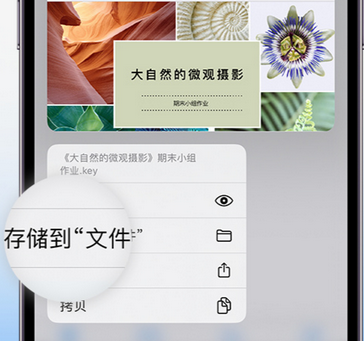 汾阳apple维修中心分享iPhone文件应用中存储和找到下载文件