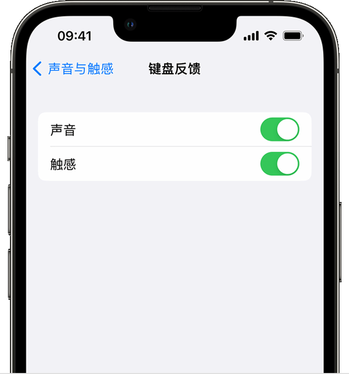 汾阳苹果14维修店分享如何在 iPhone 14 机型中使用触感键盘 