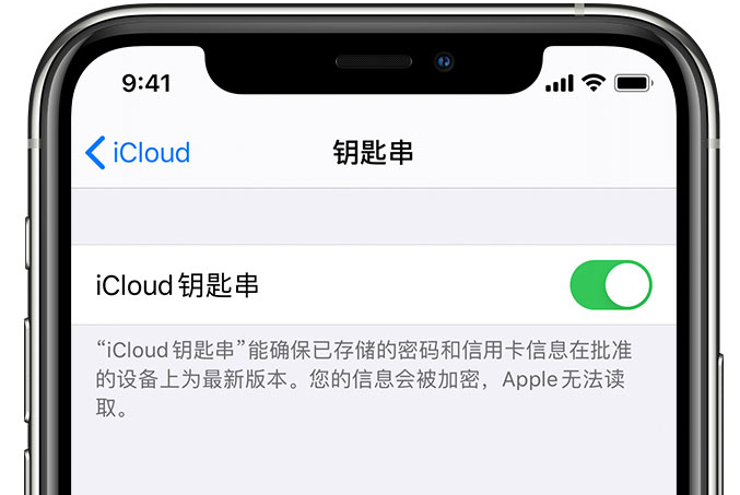 汾阳苹果手机维修分享在 iPhone 上开启 iCloud 钥匙串之后会储存哪些信息 