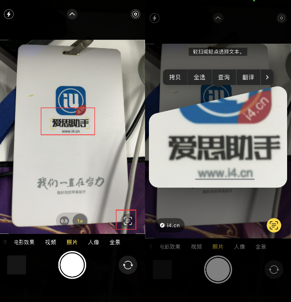 汾阳苹果手机维修分享升级iOS 16后如何通过相机翻译文本 