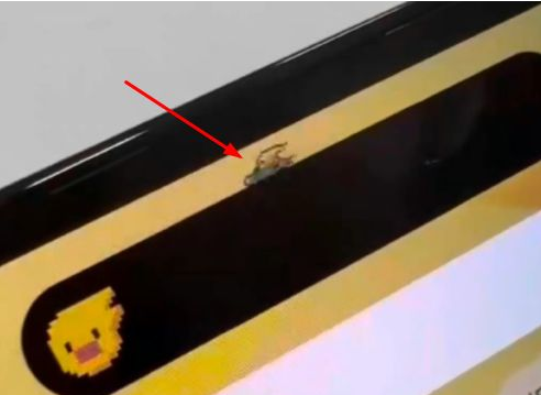 汾阳苹果14维修分享iPhone 14 Pro Max灵动岛怎么养宠物 