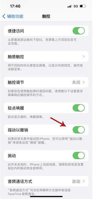 汾阳苹果手机维修分享iPhone手机如何设置摇一摇删除文字 